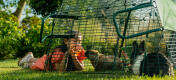 Una bambina che dà da mangiare al suo coniglio domestico un po' di anguria attraverso le maglie della gabbia.