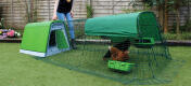 Un verde Eglu Go pollaio con pista per polli.
