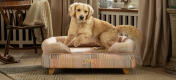 Retriever su letto per cani con bolster rialzato