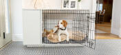 Cane steso nella cuccia topology in memory foam posizionata dentro Fido Studio