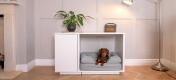 Cane steso su cuccia topology e topper bolster all'interno di Fido Nook