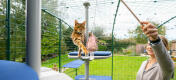 Gatto che gioca con Maya giocattolo del gatto su Freestyle albero del gatto all'aperto in Omlet catio fuori in giardino