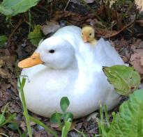 Mamma e bambino