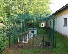 Omlet passeggiata nel percorso dei polli in giardino