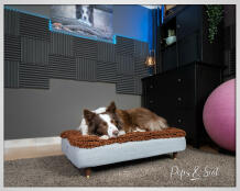 Peps & scot dog sleeping on Omlet Topology letto per cani con topper in microfibra e piedini in legno con tappo in ottone