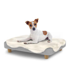 Cane seduto su un piccolo Topology letto per cani con topper in pelle di pecora e piedi rotondi in legno