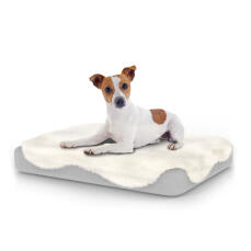 Cane seduto sul piccolo Topology letto per cani con topper in pelle di pecora