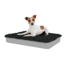 Cane seduto su letto medio per cani Topology con topper in microfibra grigio antracite