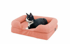 Gatto sdraiato in letto bolster rosa pesca per gatti