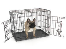Fido Classic 30 cassa per cani con cane