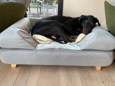 Un cane che dorme su un letto a bolster in memory foam