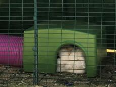 Conigli che dormono all'interno del rifugio verde Zippi 