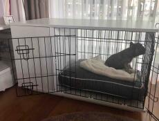 Gatto in Omlet Maya Nook mobili per gatti