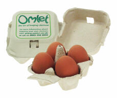 Omlet scatola di uova con 4 uova