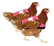 Confezione doppia di giubbotti di pollo rosa ad alta visibilità