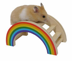 I criceti amano arrampicarsi sul ponte gioco dell'arcobaleno