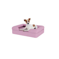 Cane seduto su piccolo lilla lavanda memoria schiuma bolster letto per cani