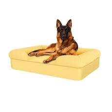 Cane seduto su mellow giallo grande memoria schiuma bolster letto per cani