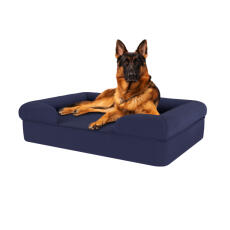 Cane seduto sul grande letto per cani in schiuma di memoria blu notte