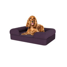 Cane seduto su medio prugna viola memoria schiuma bolster letto per cani