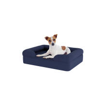 Cane seduto su piccolo letto per cani in memory foam blu notte