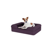 Cane seduto su piccolo prugna viola memoria schiuma bolster letto per cani