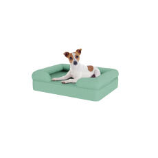 Cane seduto su piccolo letto per cani in memory foam blu teal bolster