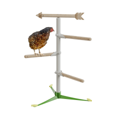 Pollo nel kit del sistema di trespolo in piedi libero