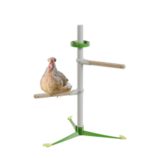 Pollo nel kit di molle del sistema del trespolo in piedi libero