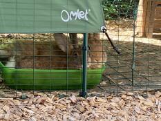 Due conigli che nascondono una mangiatoia Omlet.