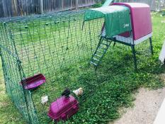 Una coop rosa con una pista di 2 metri in un giardino