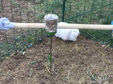 Un coniglio in una corsa con un giocattolo da beccare e un trespolo per polli