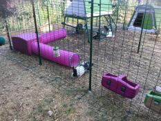 Coniglio in Omlet walk in rabbit run