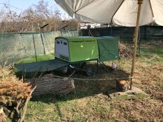 Omlet verde Eglu Cube grande pollaio e corsa