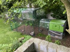 Un pollaio verde attaccato a un percorso per polli