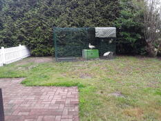 Due anatre all'interno di una passeggiata in esecuzione con un Cube coop in un giardino