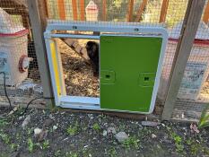 Un apriporta automatico verde attaccato a un recinto