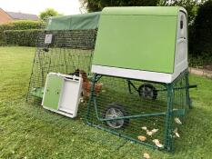 Un apriporta automatico verde per pollai attaccato alla pista di un pollaio di plastica