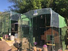 Omlet walk in chicken run con pollaio in legno all'interno con Omlet verde porta pollo automatico allegato