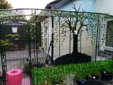 Un catio Omlet decorato con piante.