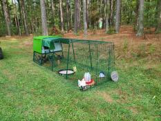 Una coop con una pista di 3 metri ai margini di una foresta