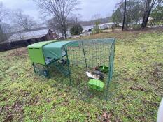 Un grande pollaio verde Cube con una copertura sopra e una corsa attaccata e i polli dentro