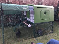 Omlet verde Eglu Cube grande pollaio e corsa
