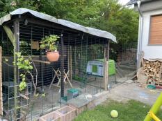 Cube pollaio in un giardino con una corsa annessa