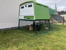 Omlet verde Eglu Cube grande pollaio e correre con i polli