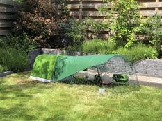 Un pollaio verde e una corsa con copertura, in un giardino