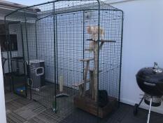 Una pista per gatti all'aperto Omlet / catio completa di albero di arrampicata per gatti.
