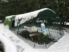Il nostro hutch Eglu Go sotto la neve