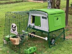 Eglu Cube con porta automatica