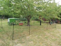 Verde Omlet Eglu Cube grande pollaio e corsa e Omlet recinzione per polli